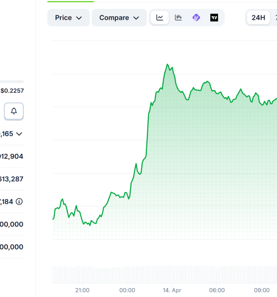 CoW Protocol (COW) Price Performance