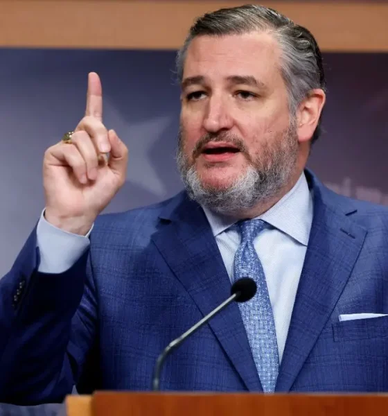 Ted Cruz slams Trump's proposed Spirit Airlines government bailout plan