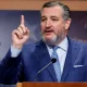 Ted Cruz slams Trump's proposed Spirit Airlines government bailout plan