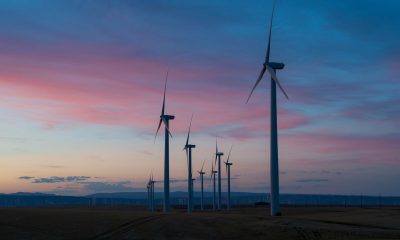 Is Portsmouth ready for net zero? New study reveals UK ranking