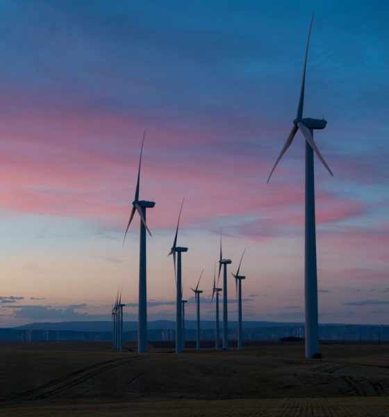 Is Portsmouth ready for net zero? New study reveals UK ranking