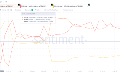 TRUMP Meme Coin Whale Holdings
