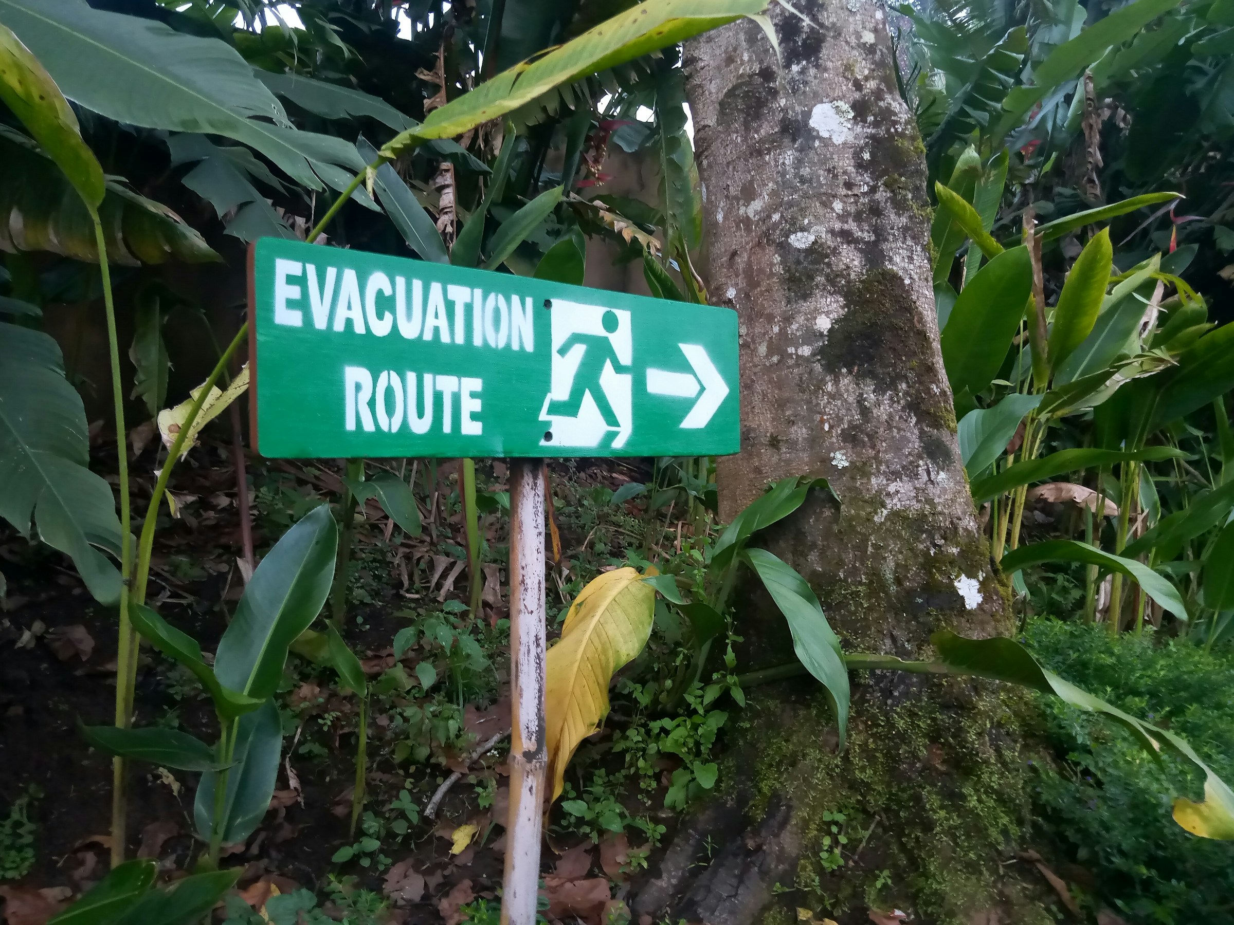 Evacuation Sign