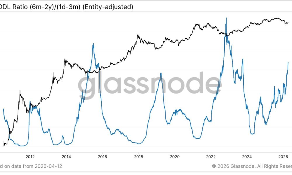 Bitcoin’s (BTC) 50% drawdown may have marked a bottom as on-chain signals turn bullish