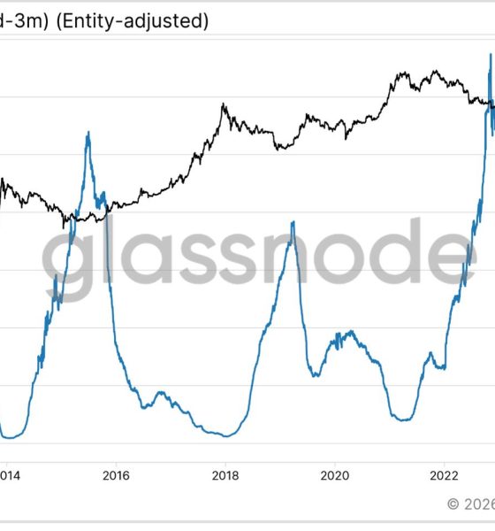Bitcoin’s (BTC) 50% drawdown may have marked a bottom as on-chain signals turn bullish