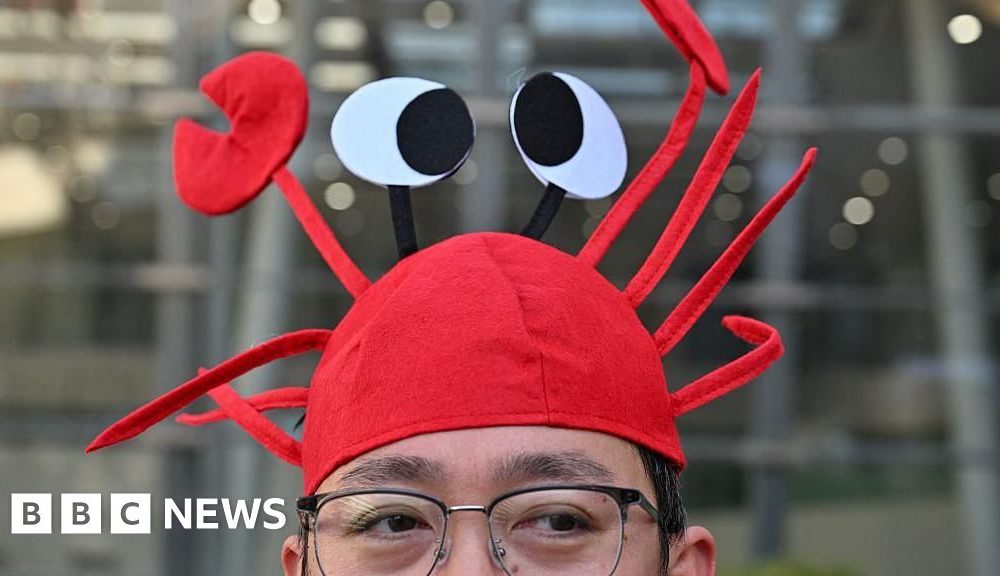How China fell for a lobster: What an AI assistant tells us about Beijing's ambition