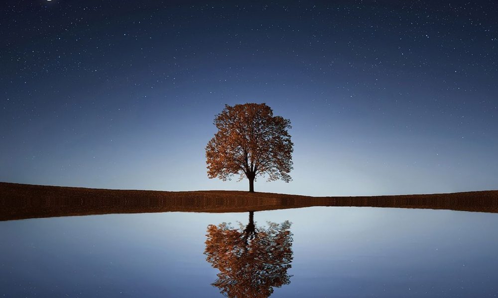 The BTC price is less volatile than South Korea's Kospi stock index right now