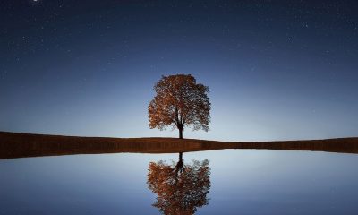 The BTC price is less volatile than South Korea's Kospi stock index right now