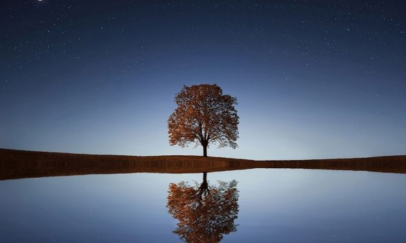 The BTC price is less volatile than South Korea's Kospi stock index right now