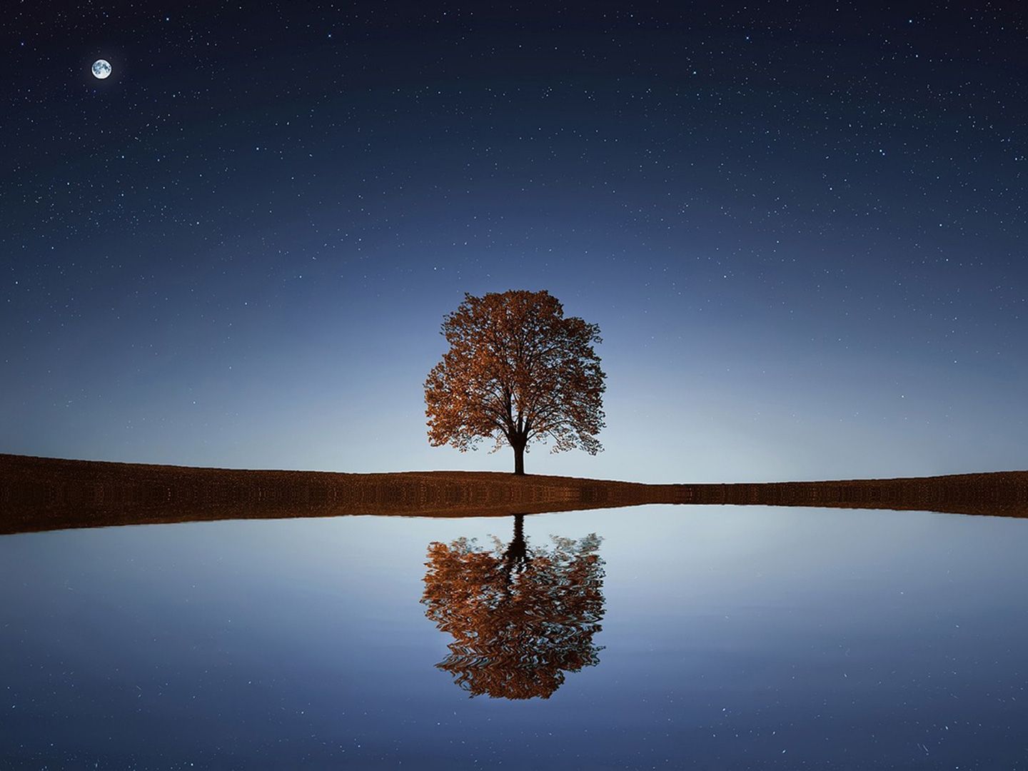 The BTC price is less volatile than South Korea's Kospi stock index right now