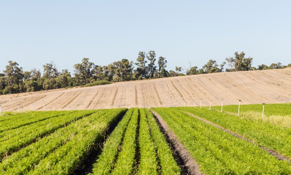 Australia secures fertiliser deal with Indonesia