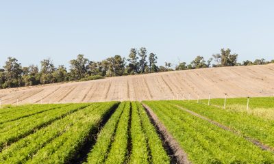 Australia secures fertiliser deal with Indonesia