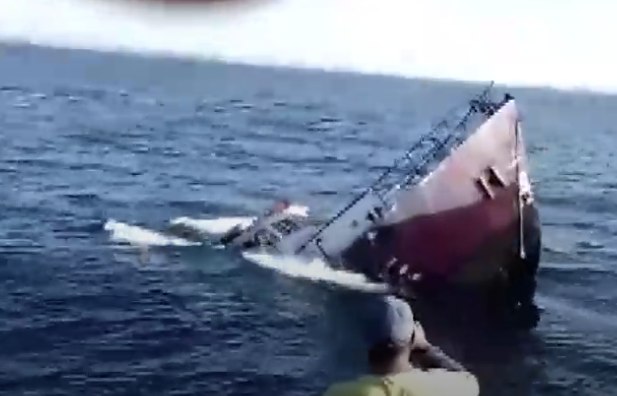 Father and Son Hit With Historic $30K Fines for Deliberately