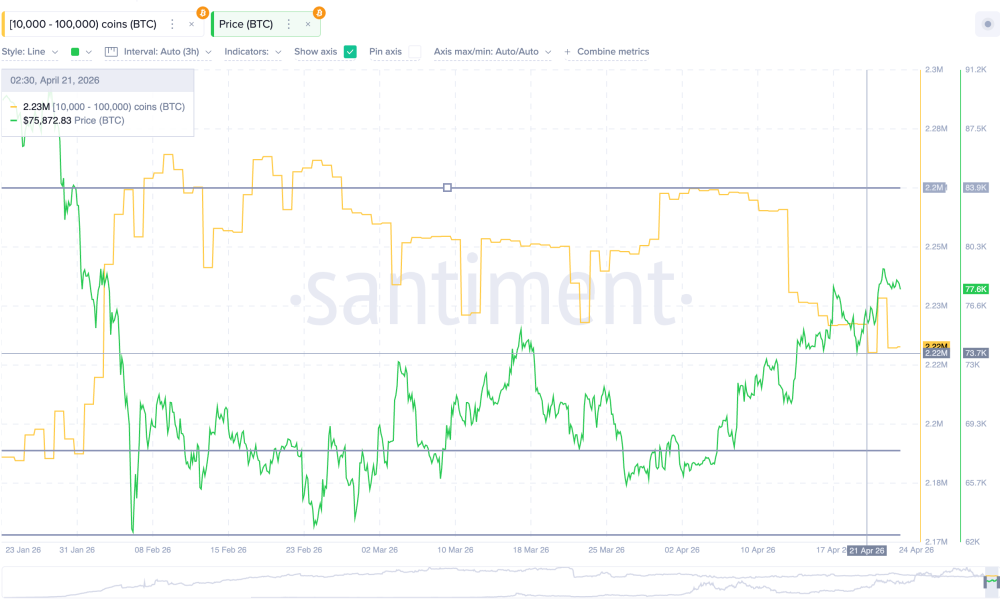 Bitcoin Whale Accumulation