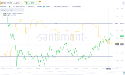 Bitcoin Whale Accumulation