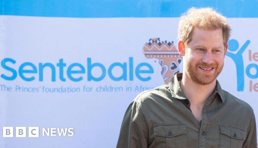 Prince Harry sued for defamation by charity Sentebale he co-founded