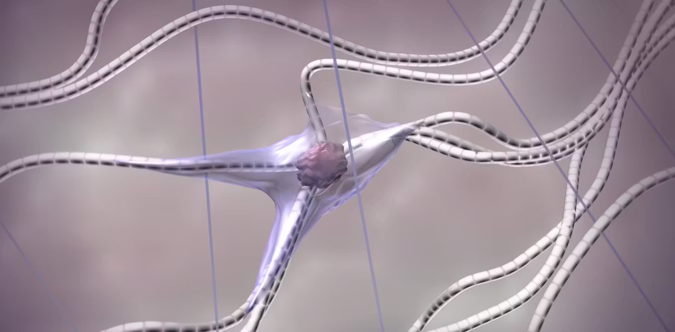 Does menopause cause a ‘collagen cliff’? What you need to know