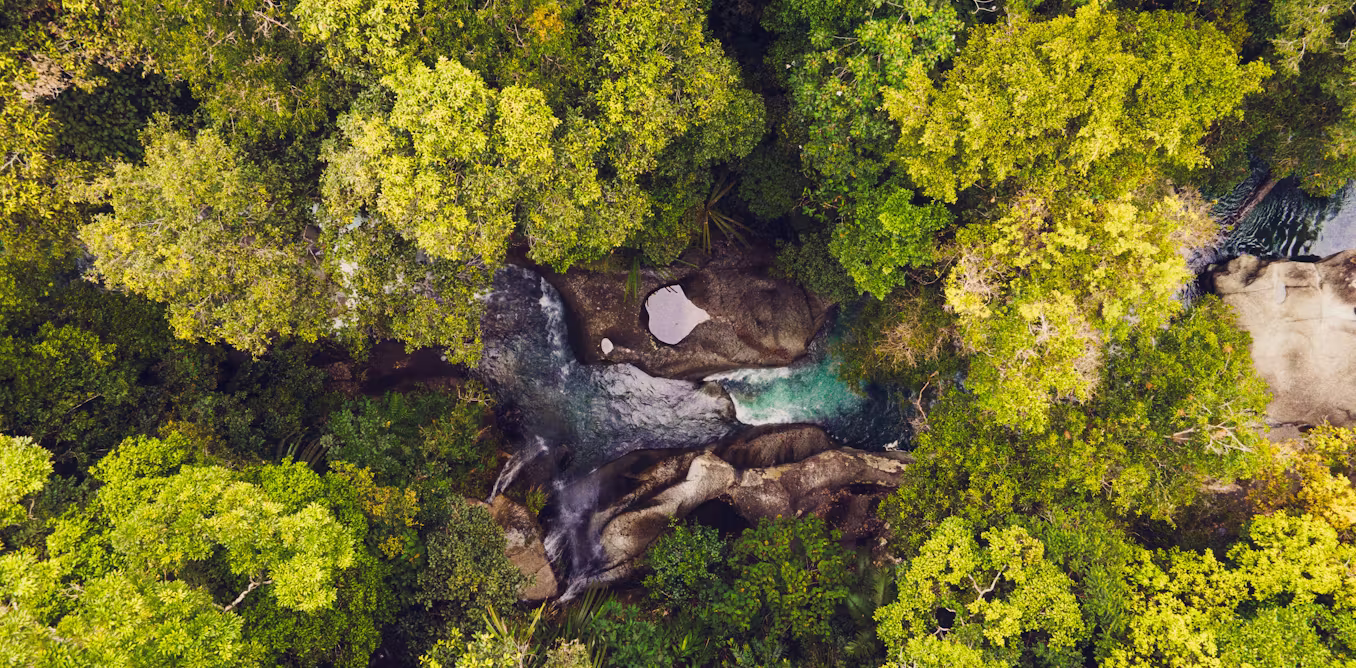 the finance tool making a comeback