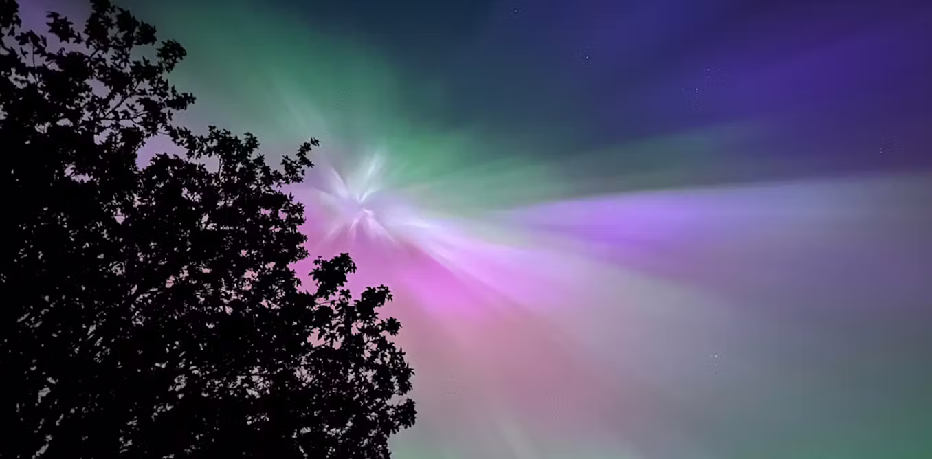 how technology can help you to notice nature in new ways