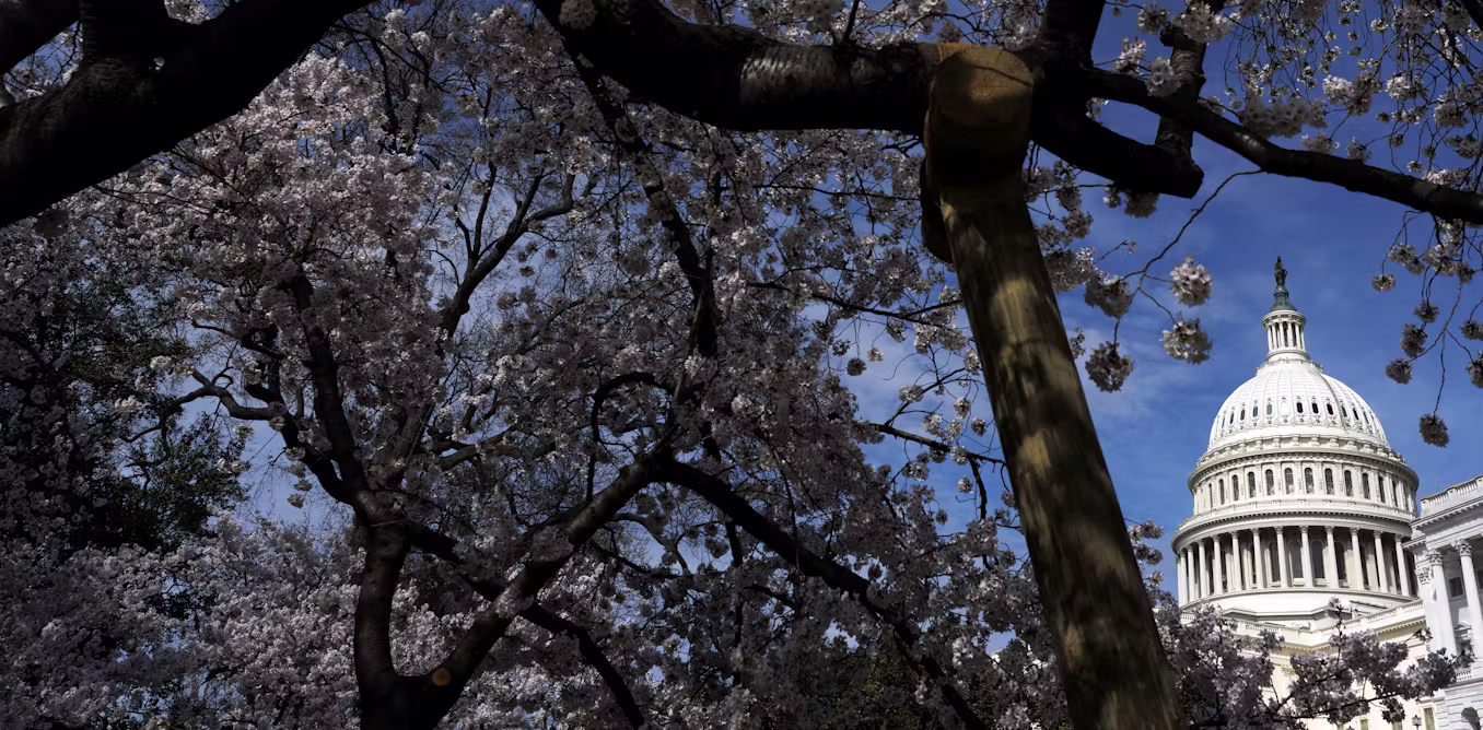 Will voters turn against Donald Trump in the US midterms? What we know so far