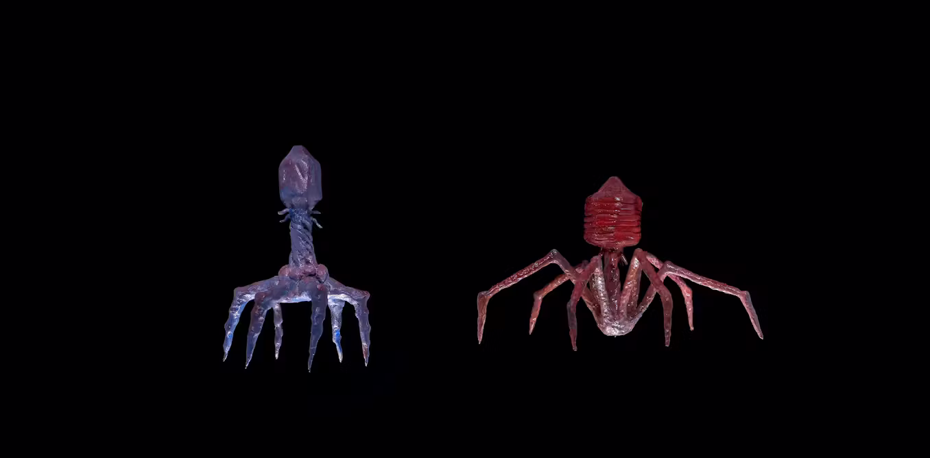 meet the viruses that hunt superbugs