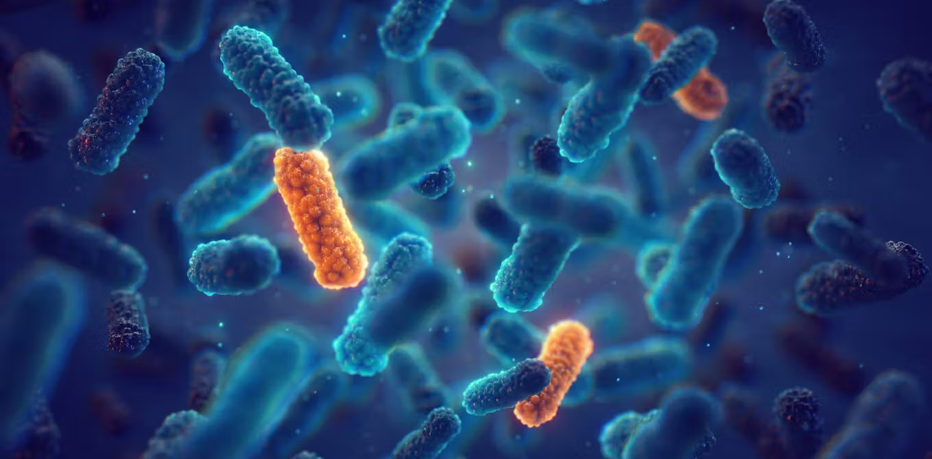 What a ‘post-antibiotic era’ could mean for modern medicine