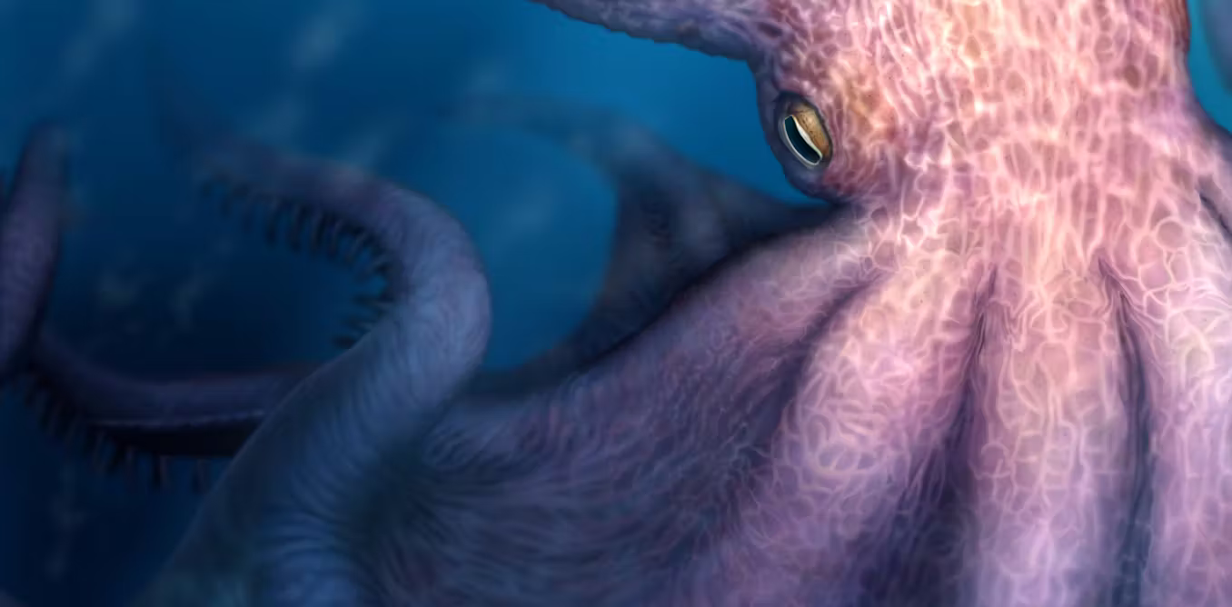 Were enormous octopuses apex predators in ancient oceans?