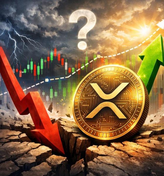 Crypto Breaking News