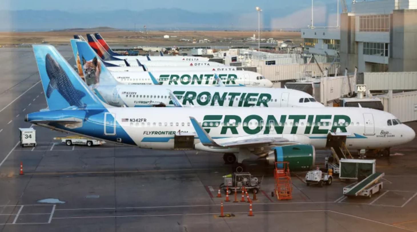 Frontier Airlines planes stand at gates on the A Concourse at Denver International Airport in Denver.