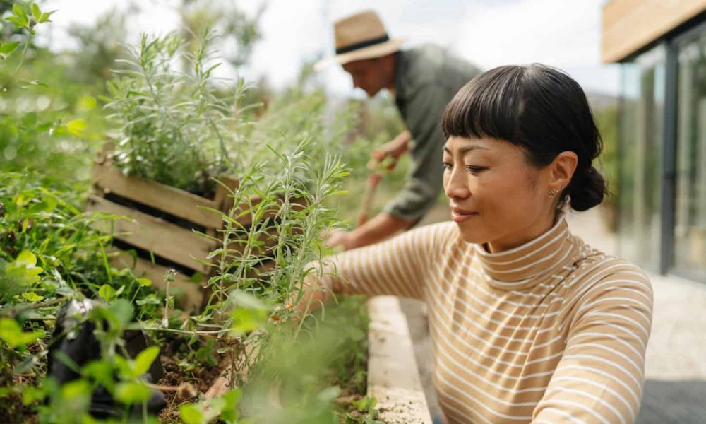 Five ways to turn eco-anxiety into something positive