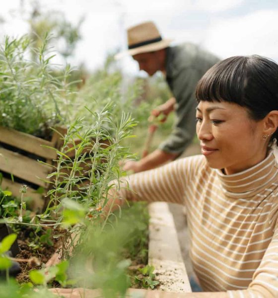 Five ways to turn eco-anxiety into something positive