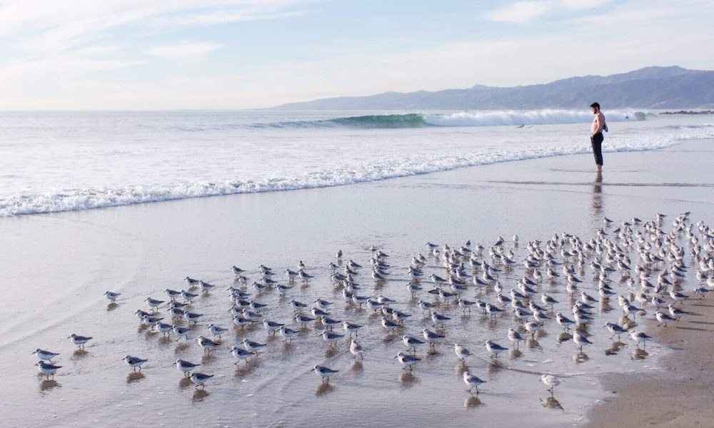 What went right this week: the good news that matters