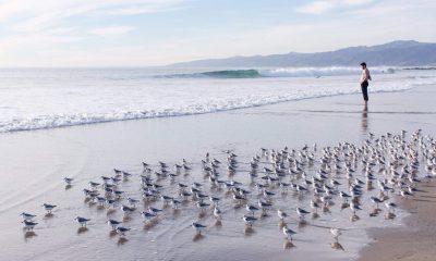 What went right this week: the good news that matters