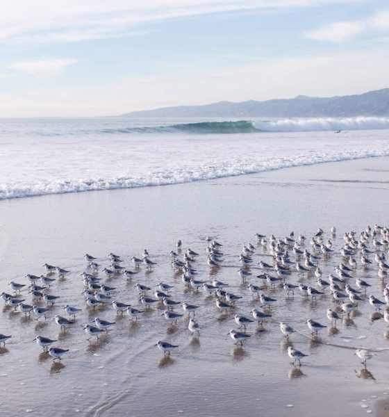 What went right this week: the good news that matters