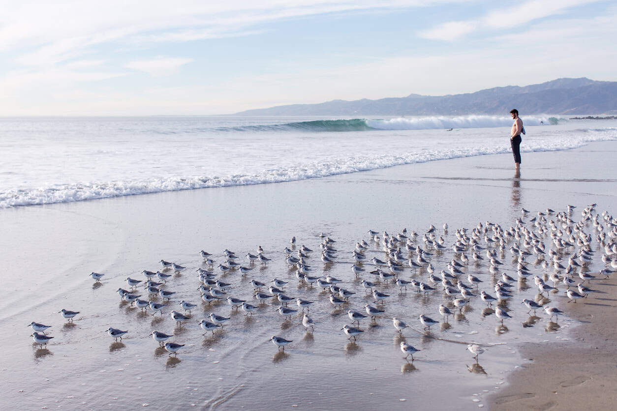 What went right this week: the good news that matters