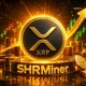 XRP market sentiment heats up: SHR Miner cloud mining platform offers crypto participants a new path to easily earn $13,500 in returns - 2
