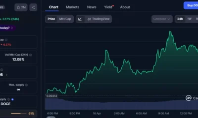 5 cryptos with 50x potential: Little Pepe gains spot as presale demand surges - 1