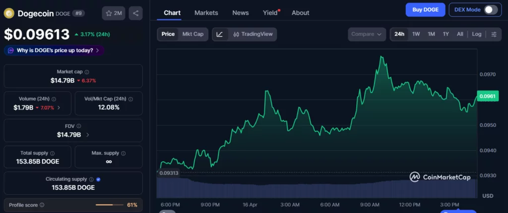 5 cryptos with 50x potential: Little Pepe gains spot as presale demand surges - 1