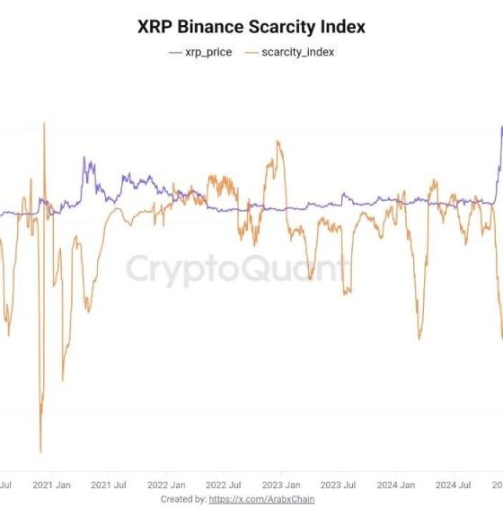 XRP Crypto Holders Pull Coins Off Exchanges, On-Chain Data Signals Supply Shock
