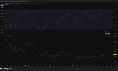 Monad Crypto Whales Just Hit a 90-Day Accumulation Peak: Is MON About to Break Its All-Time High?