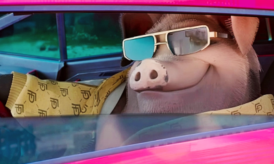 New Animal Farm Movie Confirmed Anti-Capitalist Instead Of Anti-Communist