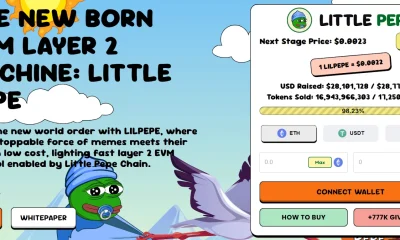 Little Pepe raises $28 million in presale, stage 13 is almost sold out - 2
