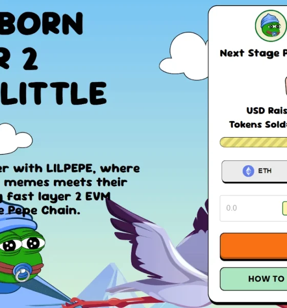 Little Pepe raises $28 million in presale, stage 13 is almost sold out - 2