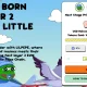 Little Pepe raises $28 million in presale, stage 13 is almost sold out - 2