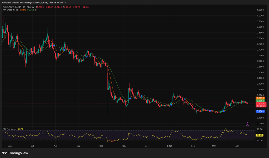 Crypto Whales Just Accumulated 100 Million FET Crypto: So Why Is the Price Still Falling?