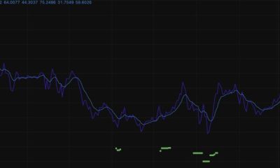 Cardano Crypto Holds $0.24 as ADA’s Volume Jumps 48%: Recovery Ahead?