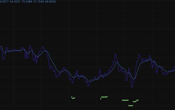 Cardano Crypto Holds $0.24 as ADA’s Volume Jumps 48%: Recovery Ahead?