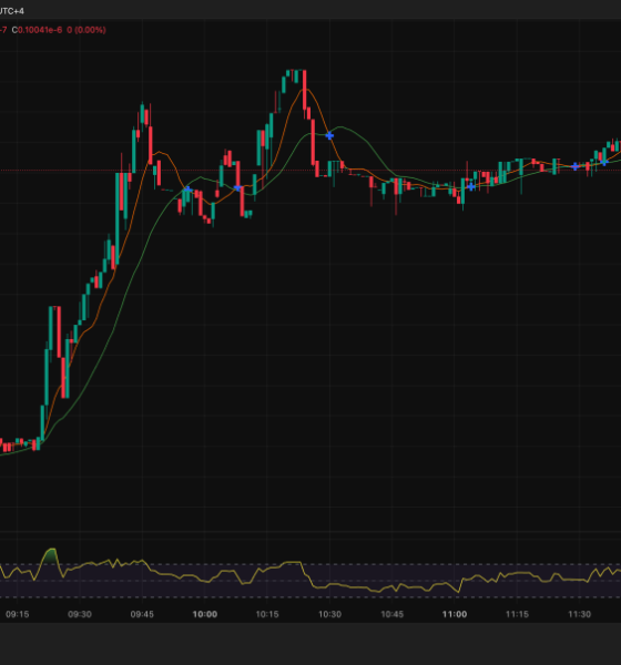 WOJAK Crypto Meme Coin Pumps 87% as MAXI Targets $5M: Analyst Calls Most Obvious Trade of 2026