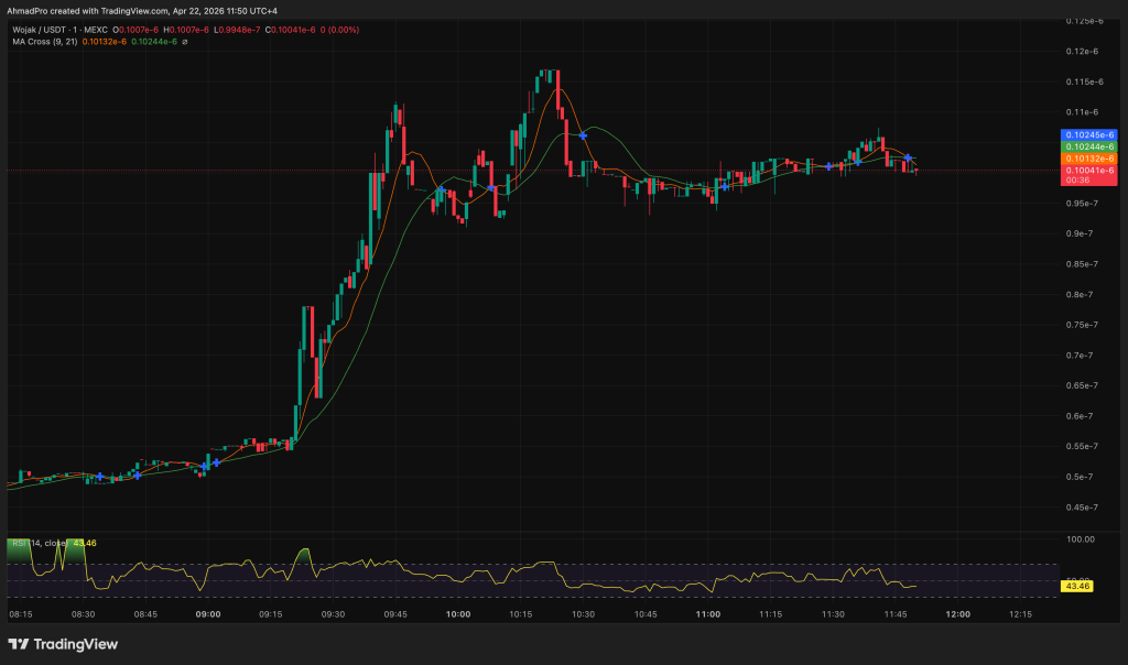 WOJAK Crypto Meme Coin Pumps 87% as MAXI Targets $5M: Analyst Calls Most Obvious Trade of 2026