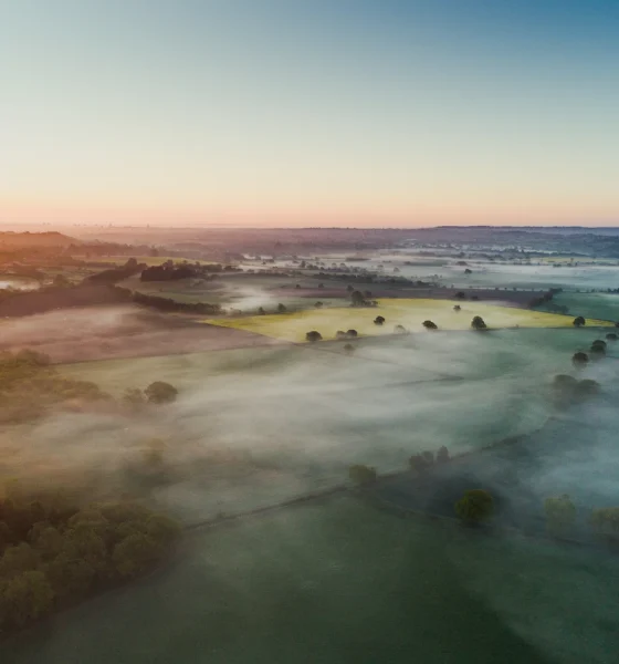 Lynas Rare Earths Stock: Long-Term Price Floor Seems To Be Priced In (OTCMKTS:LYSCF)